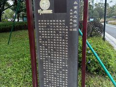 -王借岗森林公园