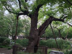 -香山公园