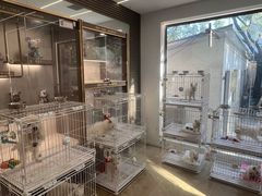 -翊宠yipet猫狗购宠庄园犬舍•猫舍