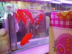 -粗粮人家·东北菜(洋桥店)