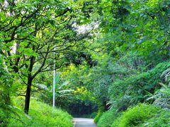 -广州市帽峰山景区