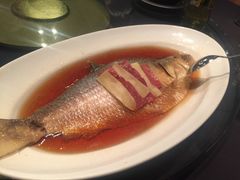清蒸鲥鱼-上海小南国(正大店)