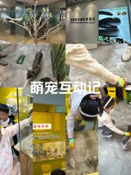 点击看大图 -神奇动物撸宠馆·羊驼·小浣熊·异宠(豫园店)