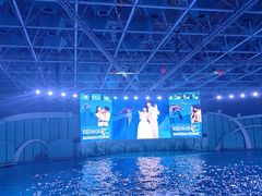 -海合安青岛极地海洋公园
