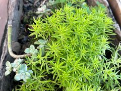 -伴山茶苑·围炉煮茶