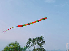 -重庆平顶山公园