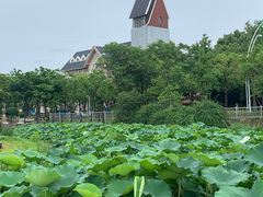 -美兰湖景区