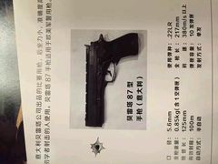-真枪会射击俱乐部(河西中央公园店)
