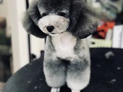 -多卡布奇宠物生活馆(上林世家店)