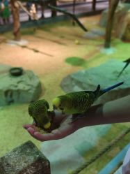 -酷嗒动物文化乐园(cutezoo西溪乐天城店)