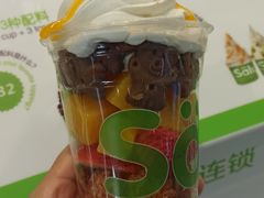 -Salud撒露欧洲冻酸奶(五道口购物中心店)