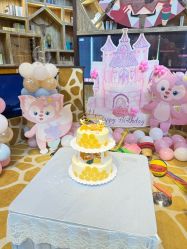 -卡通尼·Safari非洲探索乐园·生日会(金桥国际商业广场店)