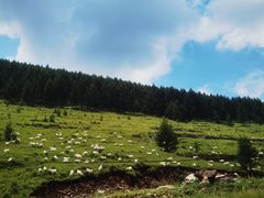 -云座·时光·观景咖啡厅(五爷庙店)