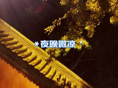 -三里屯东五街银杏大道