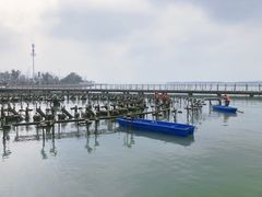 -苏州东太湖生态园