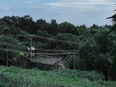 -虞山风景区