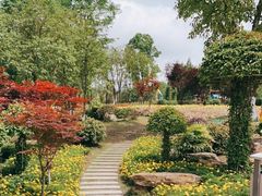 -铁山坪森林公园