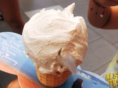 香草牛乳-野人先生现做冰淇淋(西安赛格店)