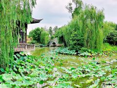 -韩湘水博园