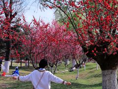 -汉长安城未央宫国家考古遗址公园