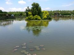 -大湾区中央湿地公园