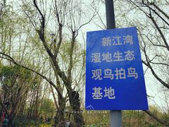 -新江湾城公园