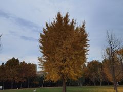 -达活泉公园