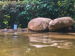 -天目湖涵田半山温泉