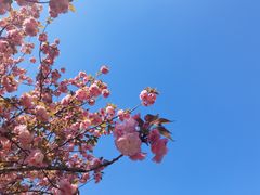 -新虹桥中心花园
