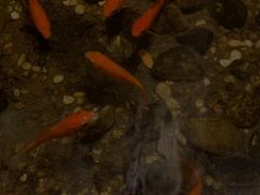 -邈墨茶馆(凤起路店)