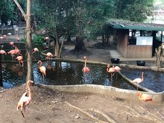 -清迈夜间动物园