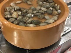 -龍歌自助小火锅(崂山丽达店)