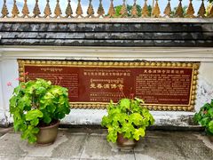 -西双版纳傣族园