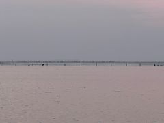 -北海金海湾红树林生态旅游区