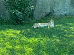 -北京野生动物园