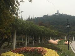 -苏州上方山国家森林公园