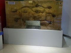 -上海昆虫博物馆