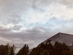 -新浪总部大厦