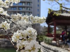 -李叔同故居纪念馆