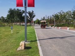 -上海海湾国家森林公园