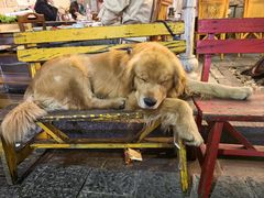 -八木轩·寻味大理白族民俗餐厅(文献路店)