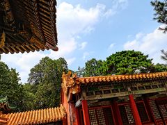 -故宫博物院(故宫)