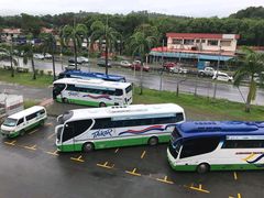 旅游巴士-伍月花酒楼