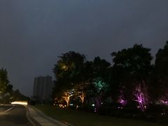 -桐乡凤凰湖