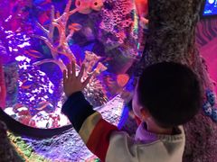 -沈阳海洋探索中心