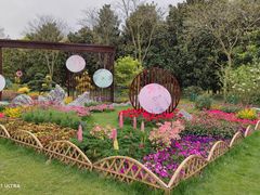 -上海共青森林公园