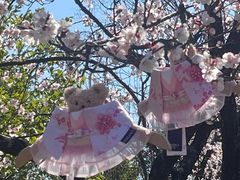 -白塔公园-儿童游乐园