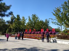 -大兴滨河森林公园