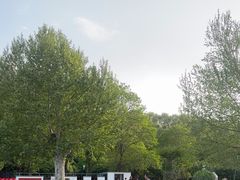 -洛阳市牡丹公园