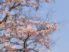 -静安雕塑公园